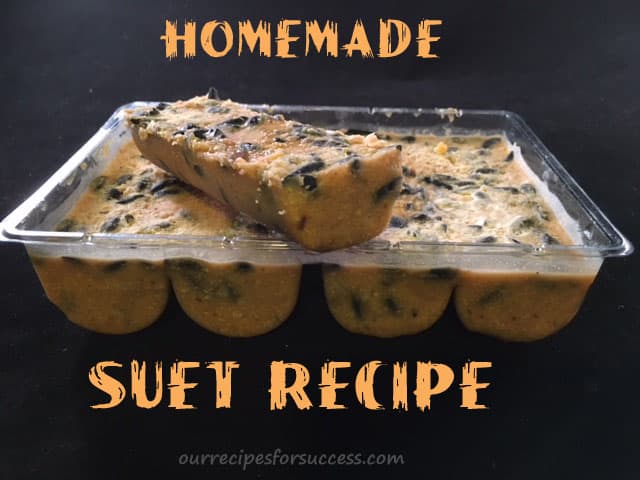 Homemade Suet Recipe For Birds